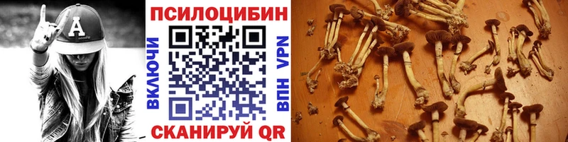 Галлюциногенные грибы Cubensis  магазин продажи наркотиков  Георгиевск 