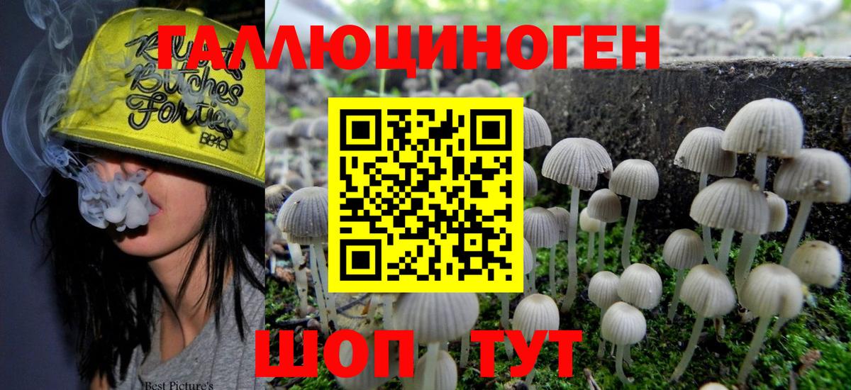 Псилоцибиновые грибы прущие грибы Георгиевск