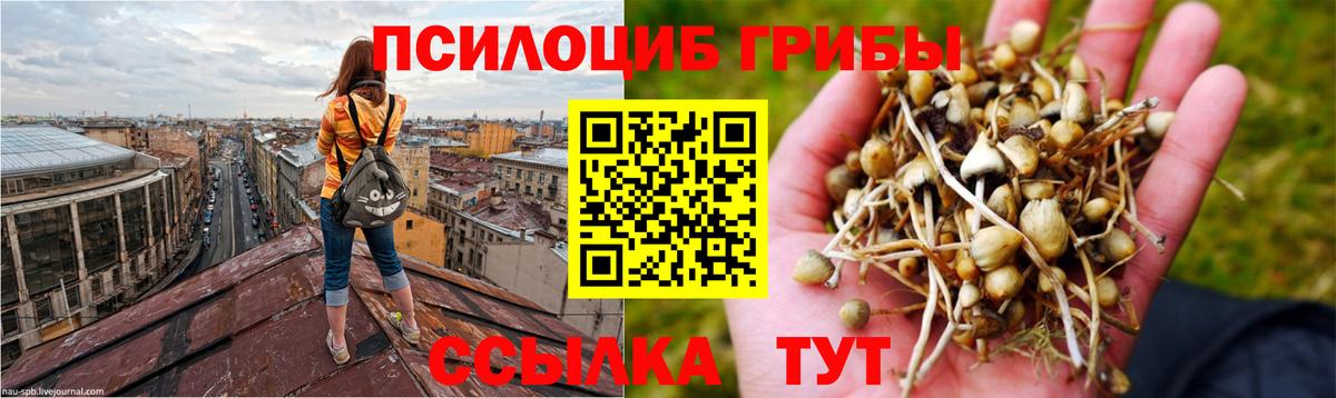 Псилоцибиновые грибы Magic Shrooms Георгиевск