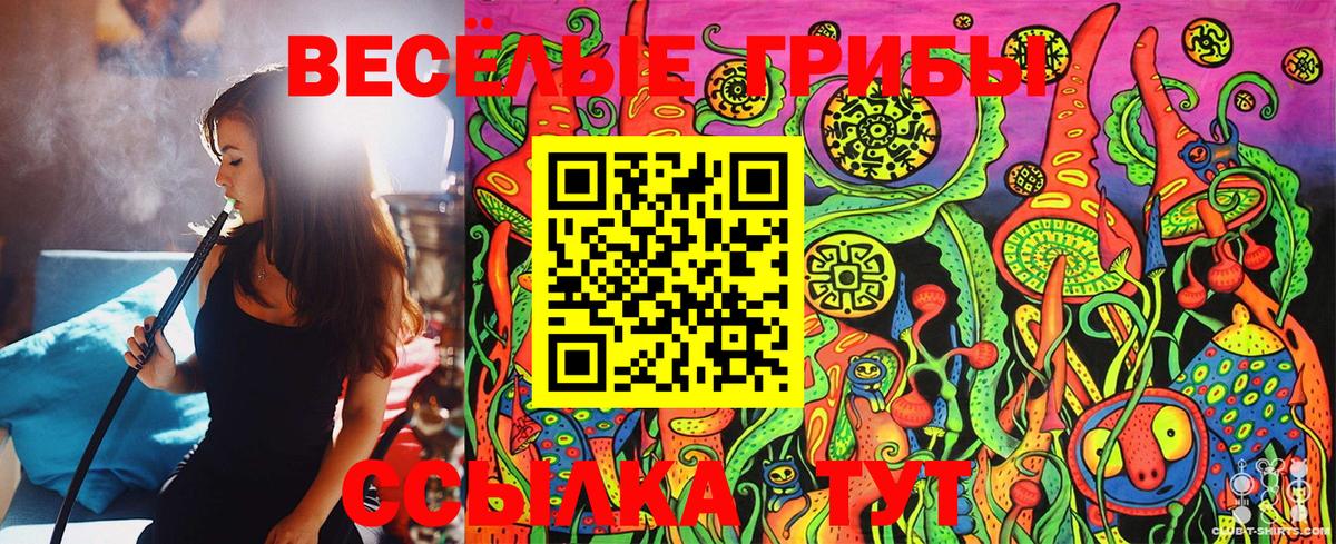 Псилоцибиновые грибы Cubensis  Псилоцибиновые грибы Psilocybine cubensis  Вход с VPN  Георгиевск 