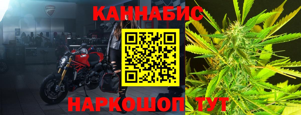 Конопля Ganja Георгиевск